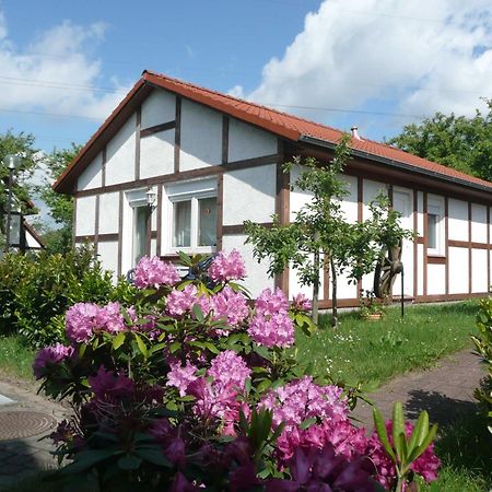 Ferienhaus Kogge Im Feriendorf Alt Bachenbrock Extérieur photo